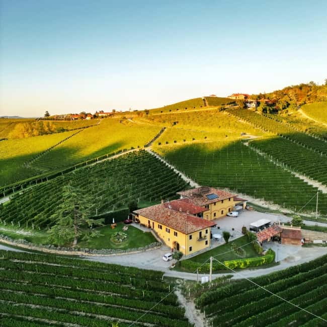 Monforte d'Alba: Wine and Chocolate Tasting Experience - Starting among the Monforte dAlba vines