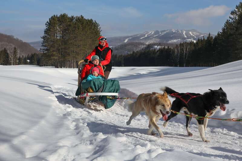 Mont-Tremblant: Guided Dogsledding Tour with Hot Chocolate - What the one-hour trail ride feels like