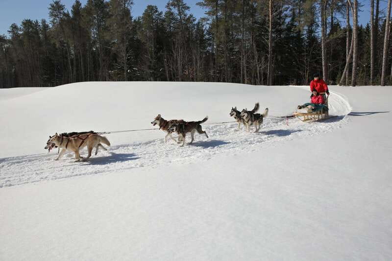 Mont-Tremblant: Guided Dogsledding Tour with Hot Chocolate - Who should book, and who should skip it?