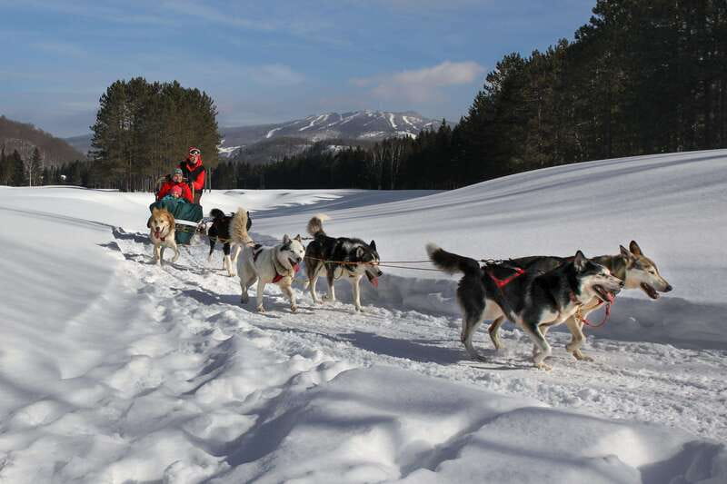 Mont-Tremblant: Guided Dogsledding Tour with Hot Chocolate - Practical details that affect your day