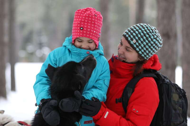 Mont-Tremblant: Guided Dogsledding Tour with Hot Chocolate - Learning to drive a team through the forest