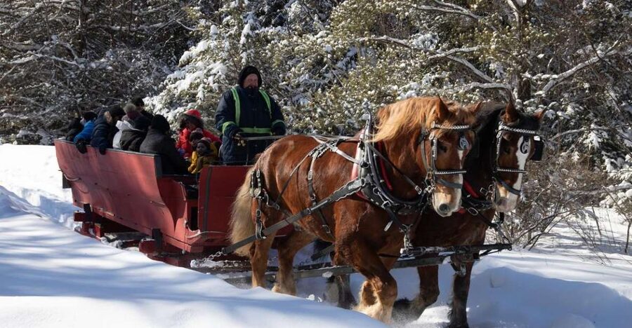 Mont-Tremblant: Sleigh Ride w/ Storytelling & Hot Chocolate - Key points at a glance