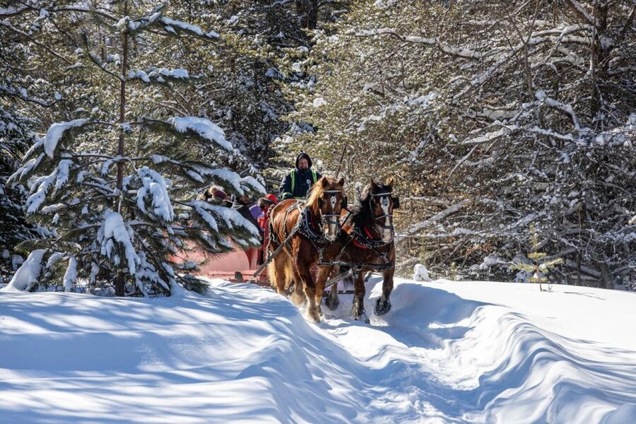 Mont-Tremblant: Sleigh Ride w/ Storytelling & Hot Chocolate - A one-hour ride with more personality than a standard sleigh trip