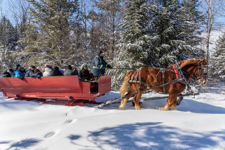 Mont-Tremblant: Sleigh Ride w/ Storytelling & Hot Chocolate - From open fields into the Laurentian forest