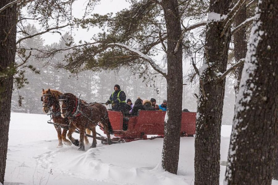 Mont-Tremblant: Sleigh Ride w/ Storytelling & Hot Chocolate - Local legends, folk songs, and live instruments