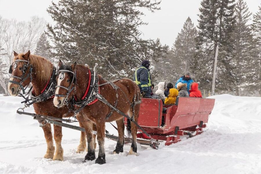 Mont-Tremblant: Sleigh Ride w/ Storytelling & Hot Chocolate - Why the timing changes the mood
