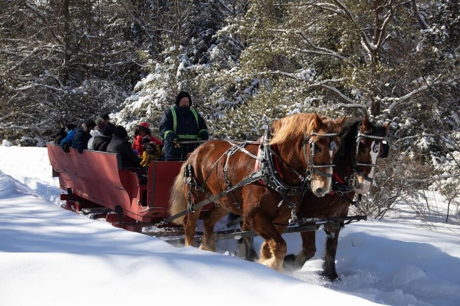 Mont-Tremblant: Sleigh Ride w/ Storytelling & Hot Chocolate - How the $44 price works for your group