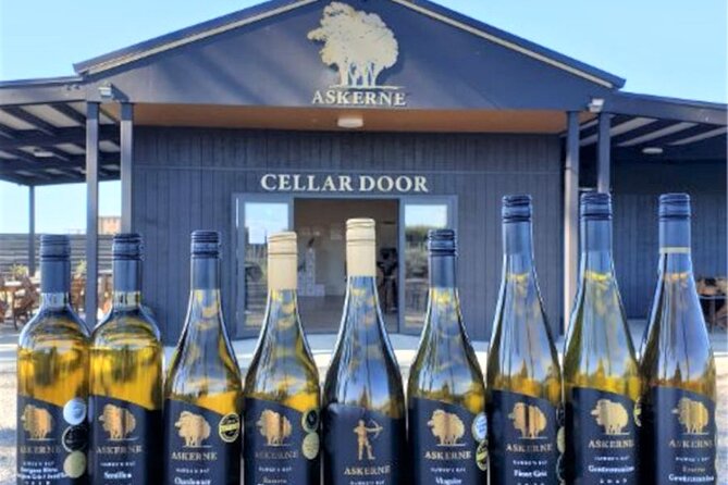 Napier: Afternoon Wine Tasting + visit Silky Oaks Chocolates - Ross shapes the experience between the stops