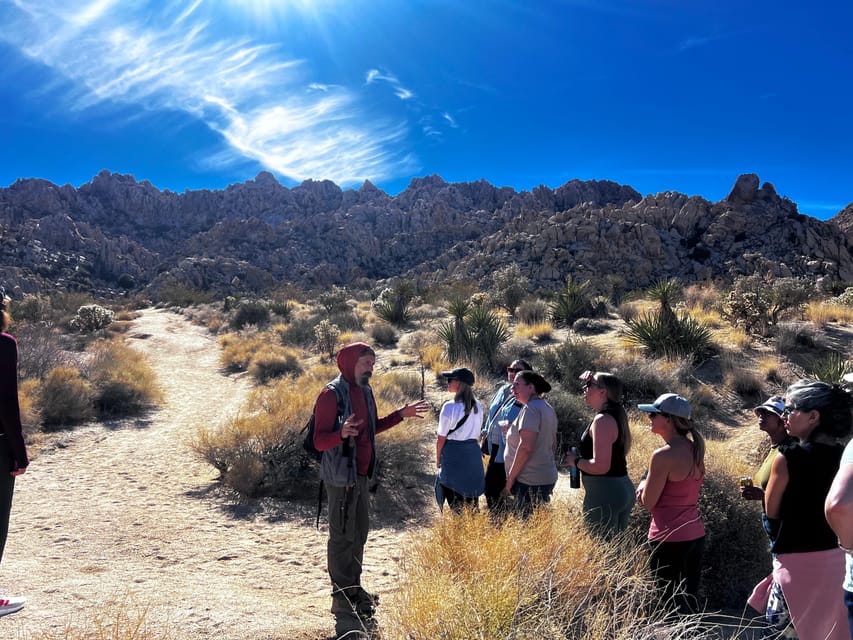 Nature Walk+Cacao Ceremony+Soundbath Meditation- Joshua Tree - My Take: Book It for the Feeling, Not Just the Trail