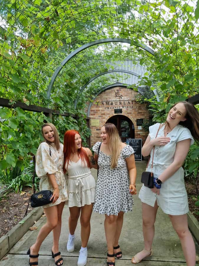 Newcastle: Hunter Valley Wine, Gin, Cheese & Chocolate Tour - Three boutique wineries, three different tasting stops