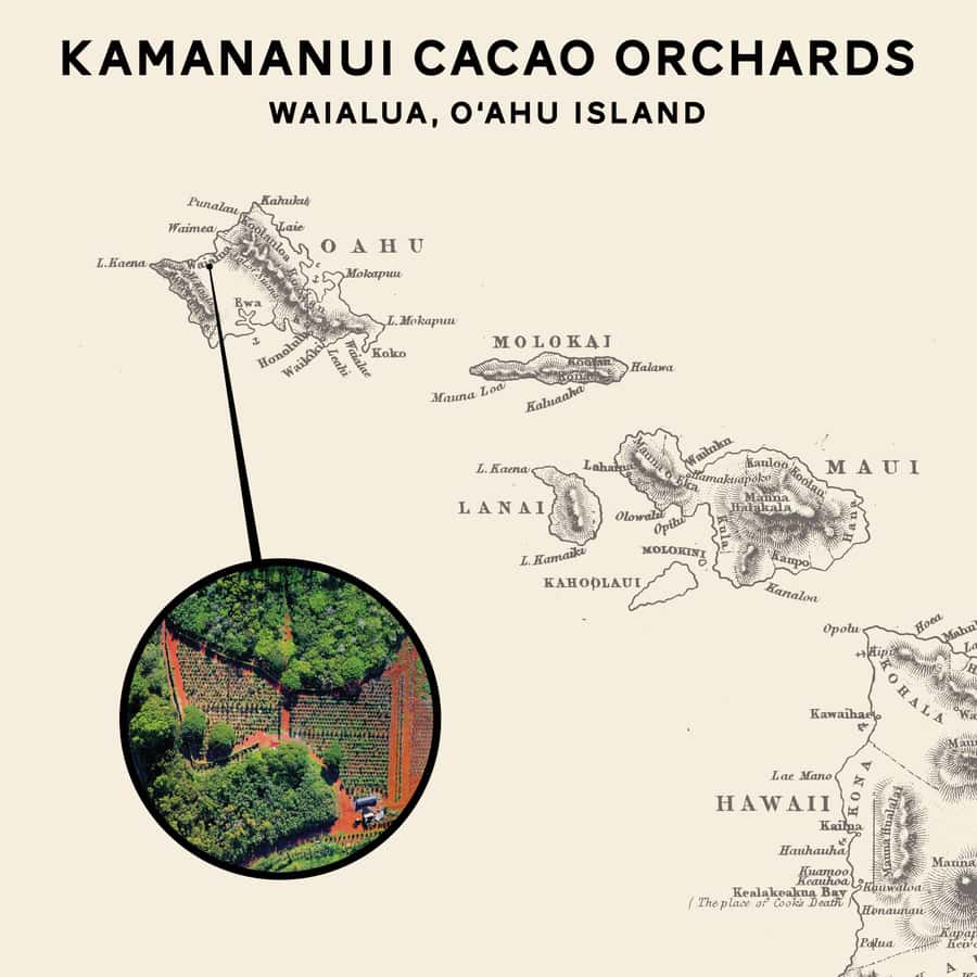 Oahu: Chocolate Farm Tour with Tasting - Kamananui Cacao - Why this farm tour is different from a chocolate shop visit