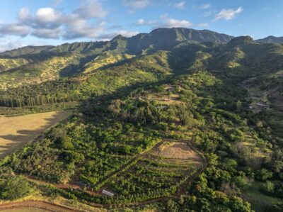 Oahu: Chocolate Farm Tour with Tasting – Kamananui Cacao