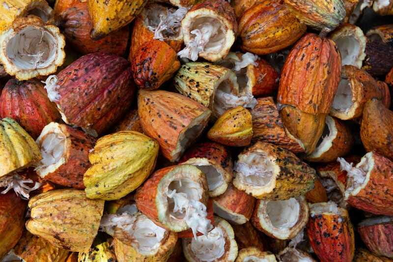 Oaxaca: Chocolate and Ancestral Drinks Tour - How this compares with a simple chocolate tasting