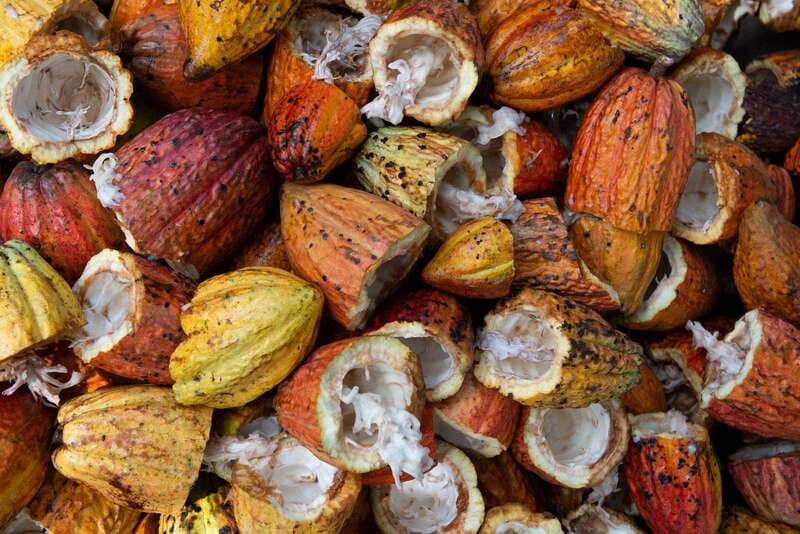 Oaxaca: Chocolate and Ancestral Drinks Tour - Why the cacao story matters in Oaxaca