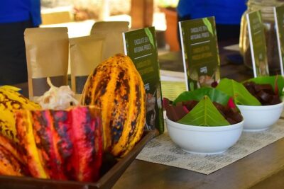 Ocean View Canopy Zip line + Chocolate Experience