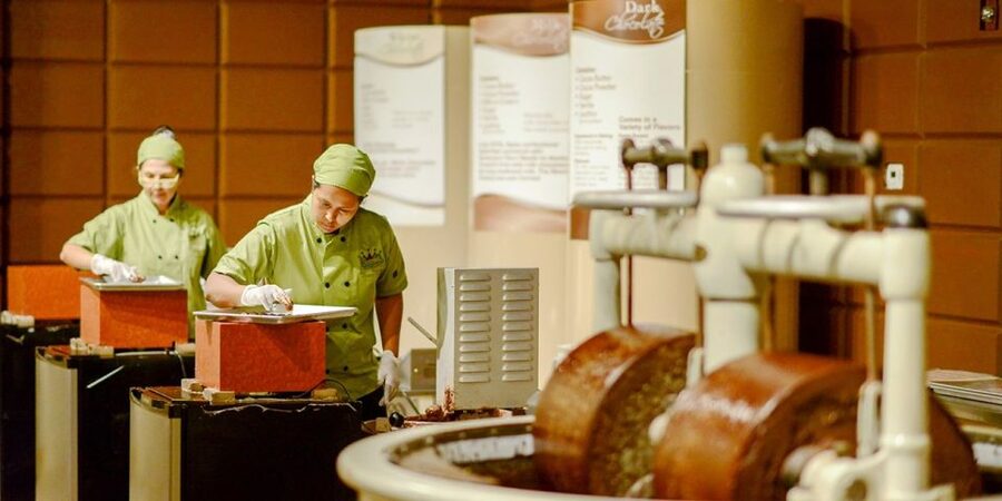 Orlando: Chocolate Kingdom Factory Adventure Tour - Starting with cacao beans and chocolate trivia