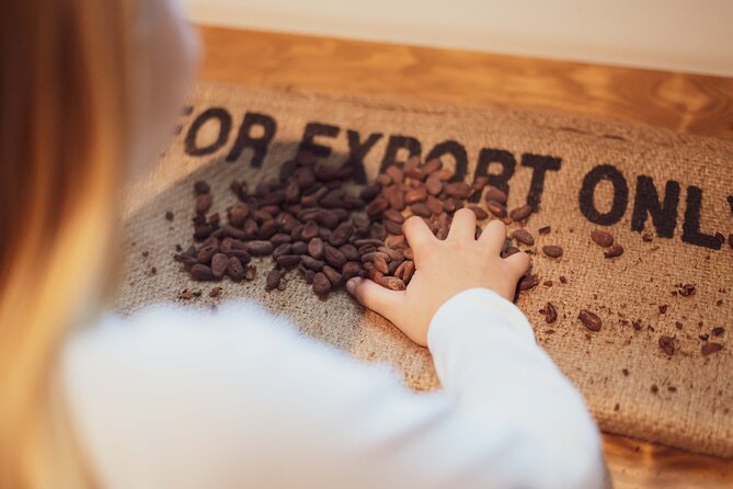 Porto: Chocolate Museum - Chocolate’s Delicious Journey + Tasting - Following cocoa from Mesoamerica to Porto
