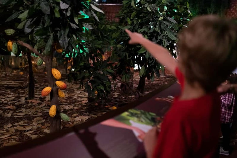 Porto: Chocolate Museum - Unwrap the Secrets of Chocolate - How much chocolate do you actually taste?