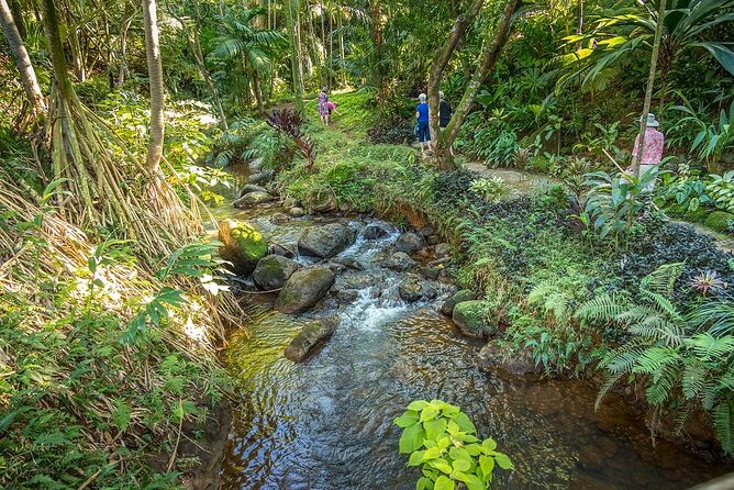 Princeville Botanical Gardens Tour and Chocolate Tasting Ticket - Fruit, flowers, honey, and the useful side of tropical plants