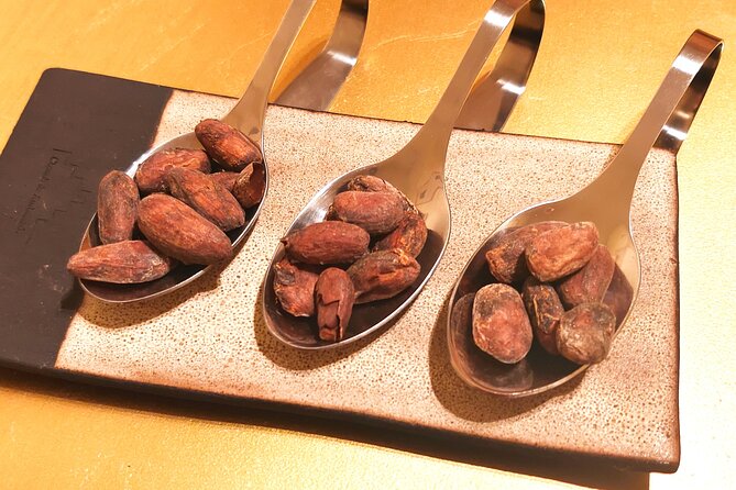 Private Chocolate Experience in Ghent - From cacao bean to Belgian bar