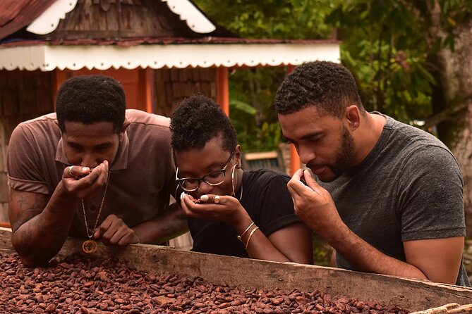 Private Chocolate Making Class - Starting at Fond Doux with a short, focused visit