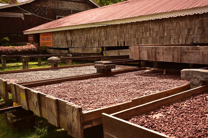Private Chocolate Making Class - Who will enjoy this Fond Doux experience most