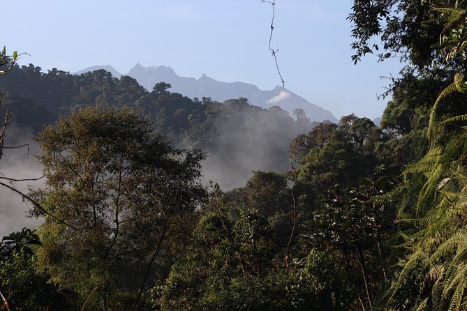 Private Full-Day Mindo Cloud Forest,Butterfly Farm, Chocolate Tour bird watching - Tarabita cable car and the seven waterfall trails
