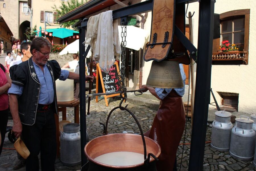 Private Swiss Cheese & Chocolate Tasting Trip in Gruyeres - Who will enjoy this Gruyères day most?