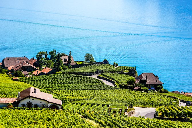 Private Tour to Gruyères, Chocolate & Cheese Factory from Geneva - What the private guide adds