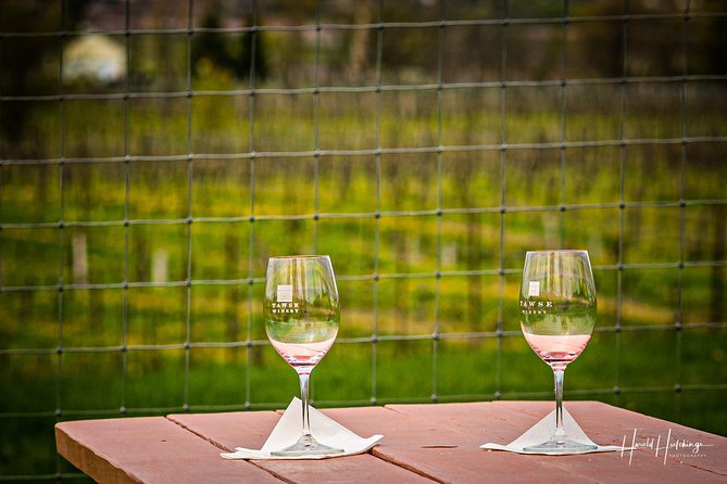 Private Wine and Chocolate Tour in Niagara Wine Region - The true price of the experience