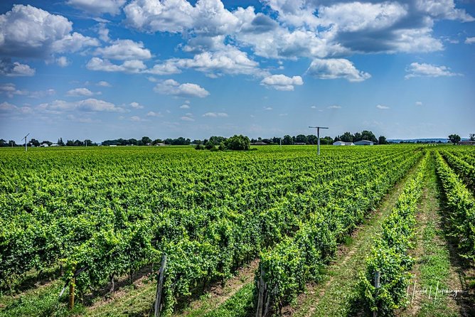 Private Wine and Chocolate Tour in Niagara Wine Region - Timing, pickup, and practical details