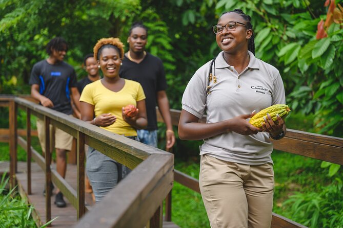 Project Chocolat Tree to Bar Tour at Hotel Chocolat Saint Lucia - A cacao-themed lunch with rainforest views