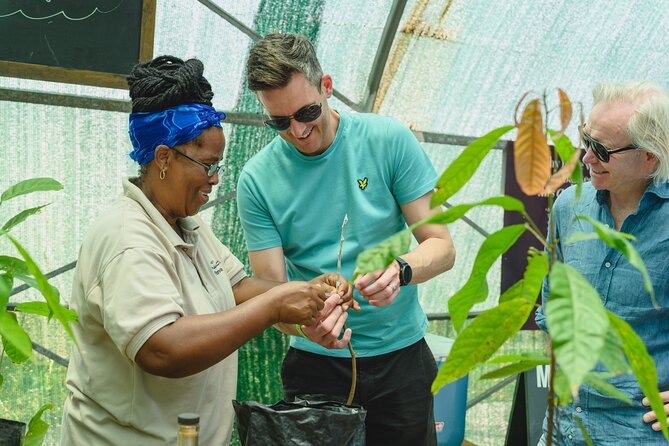 Project Chocolat Tree to Bar Tour at Hotel Chocolat Saint Lucia - Who will enjoy this most?