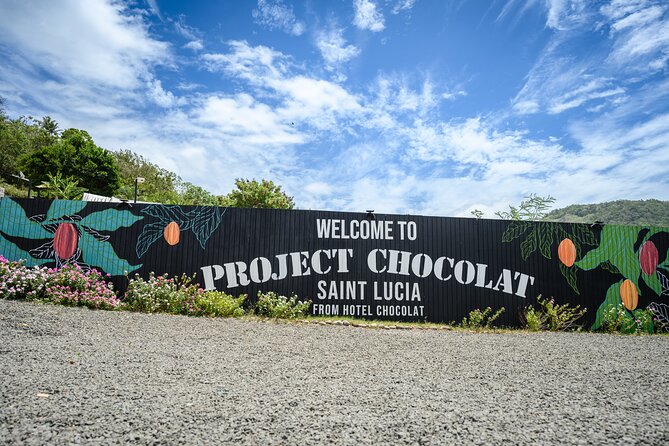 Project Chocolat Tree to Bar Tour at Hotel Chocolat Saint Lucia - Walking through the cacao groves