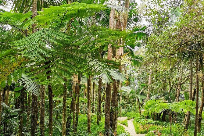 Puerto Plata City Tour with the Mount Isabel, Rum & Chocolate - Rum at Macorix House of Rum