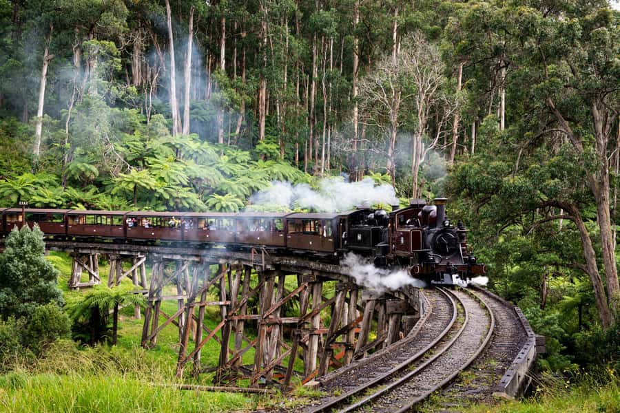 Puffing Billy, Healesville Sanctuary & Chocolatier - Key points at a glance