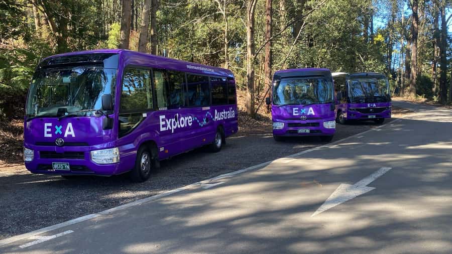 Puffing Billy, Healesville Sanctuary & Chocolatier - Practical tips before you go