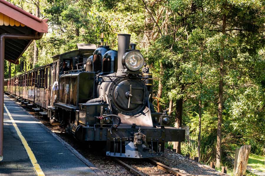 Puffing Billy, Healesville Sanctuary & Chocolatier - From 688 Bourke Street into the Dandenong Ranges
