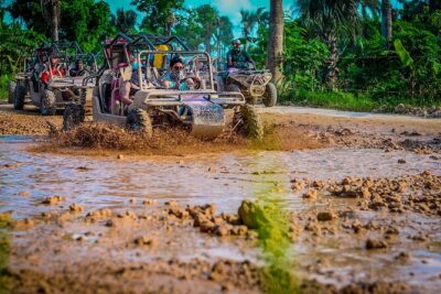 Punta cana Boogie into the Jungle with Coffee and Chocolate Taste