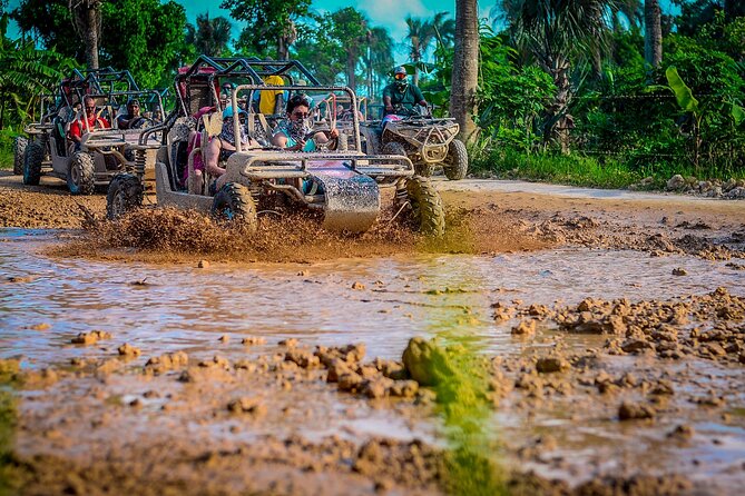 Punta cana Boogie into the Jungle with Coffee and Chocolate Taste - Driving a boogie through the Dominican countryside