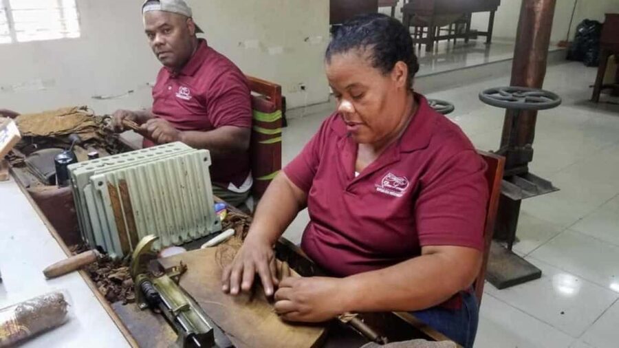 Punta Cana: Don Lucas Cigar, Chocolate, & Rum Tour - Watching cigars take shape by hand
