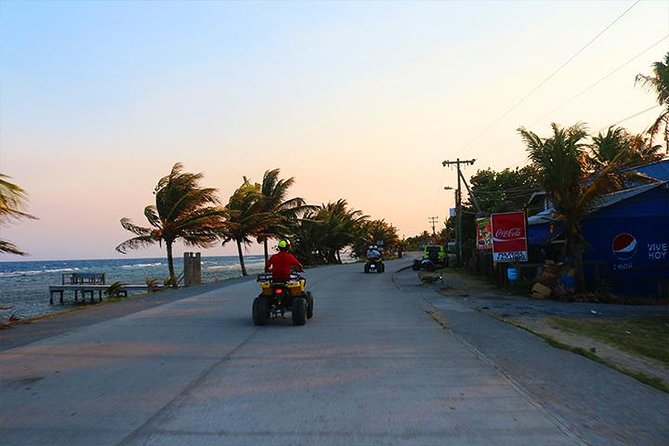 Roatan ATV Sightseeing, Sloth & Monkeys, Chocolate & Rum Factory - What the day is really like
