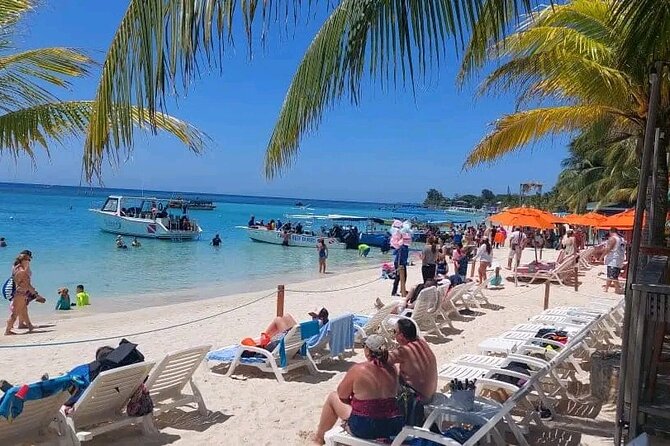 Roatan Sloths & Monkeys, Chocolate Factory plus Beach Break - Meeting sloths and monkeys in French Harbour