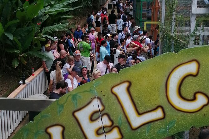 Roatan Sloths & Monkeys, Chocolate Factory plus Beach Break - Who will enjoy this Roatan excursion most