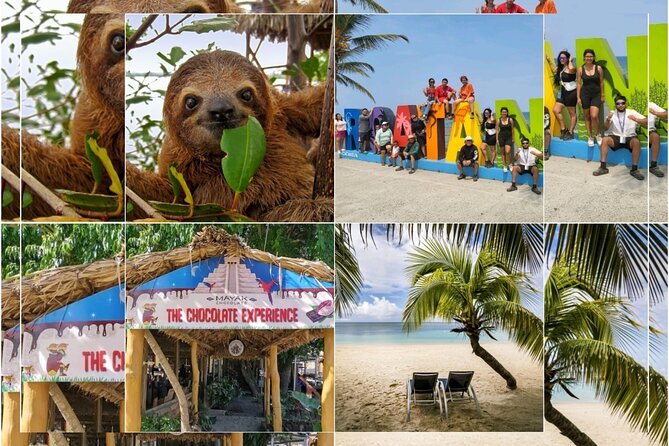Roatan Sloths & Monkeys, Chocolate Factory plus Beach Break - Meeting your guide at Port of Roatan
