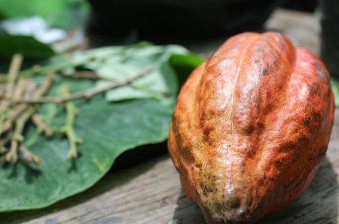 Rum & Chocolate Tasting Tour : Journey into Flavor - Who will enjoy this private outing?