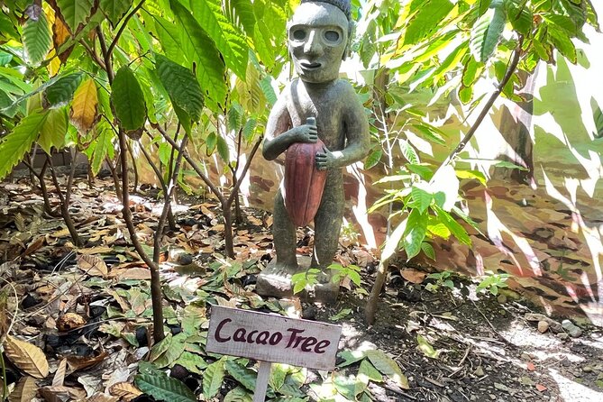Sabor Dominicano: Rum, Chocolate and Culture Private Tour - Pace, comfort, and practical details
