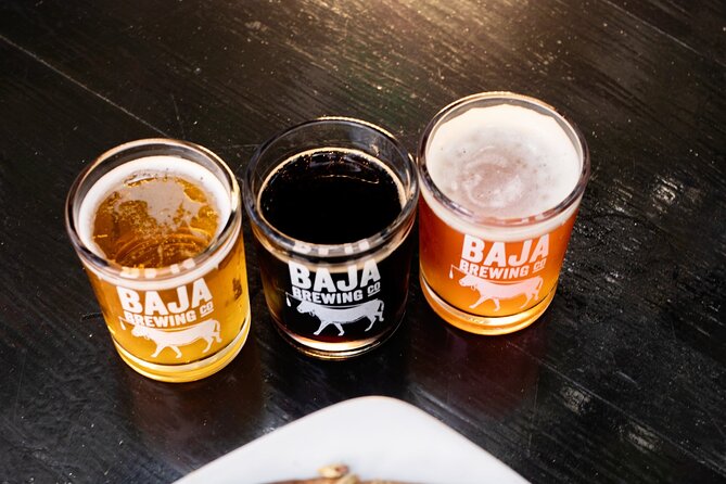 San Jose del Cabo Art Walk, Beer Tasting &Chocolate Demonstration - Pickup, timing, and physical demands
