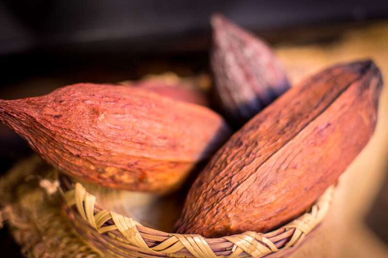 San Miguel de Allende: Chocolate Tasting and Walking Tour - Key points to know before booking