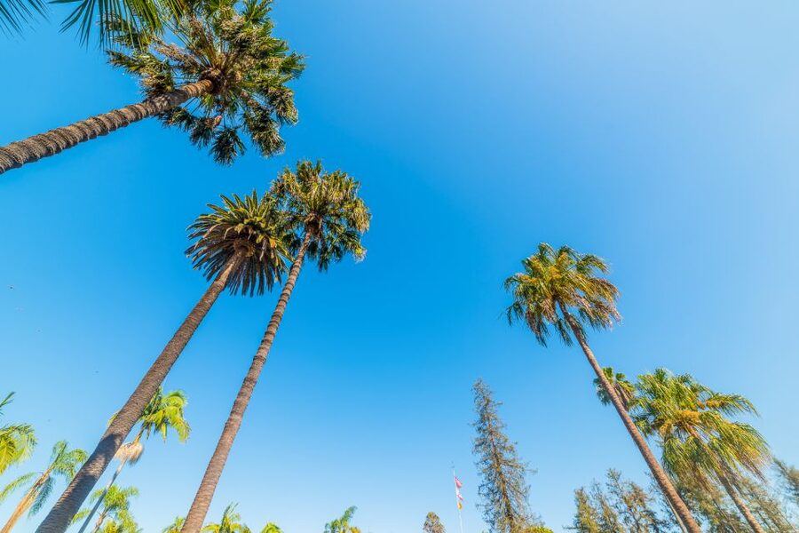 Santa Barbara: Wine, Chocolate and History Walking Tour - Practical details that matter